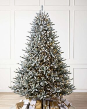 Sapin de Noël Épicéa bleu du Canada givré